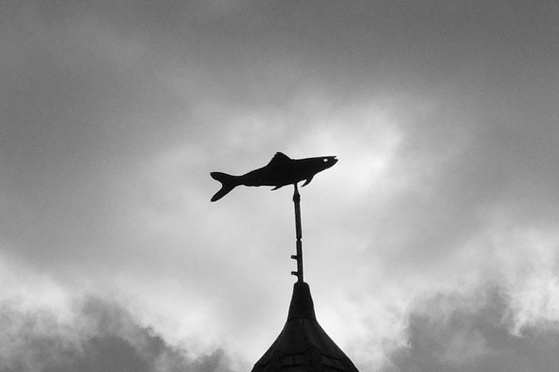 Sky Fish