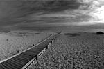 The beach at Dungeness - picture