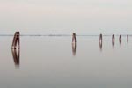 The Venetian Lagoon - picture